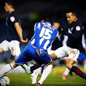 Brighton & Hove Albion vs. Blackburn Rovers: A Memorable 2012-13 Home Game Brighton & Hove Albion vs. Blackburn Rovers: A Memorable 2012-13 Home Game