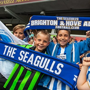 Brighton & Hove Albion vs. Blackpool: 2014-15 Season Home Game