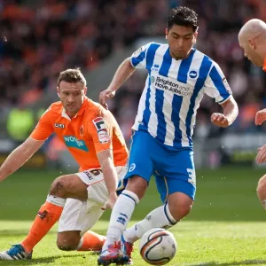 Brighton & Hove Albion vs. Blackpool: 2011-12 Away Game Highlights (Blackpool) Brighton & Hove Albion vs. Blackpool: 2011-12 Away Game Highlights (Blackpool)