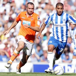 Brighton & Hove Albion vs. Blackpool - 2011-12 Season: A Home Game Brighton & Hove Albion vs. Blackpool - 2011-12 Season: A Home Game