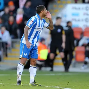 Brighton & Hove Albion vs. Blackpool: 2012-13 Away Game Brighton & Hove Albion vs. Blackpool: 2012-13 Away Game