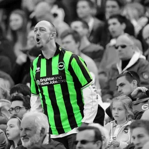 Brighton & Hove Albion vs. Blackpool: 2012-13 Home Game Brighton & Hove Albion vs. Blackpool: 2012-13 Home Game