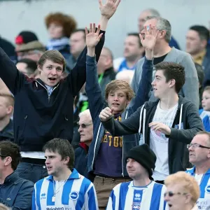 Brighton & Hove Albion vs. Blackpool (2012-13 Home Game) Brighton & Hove Albion vs. Blackpool (2012-13 Home Game)