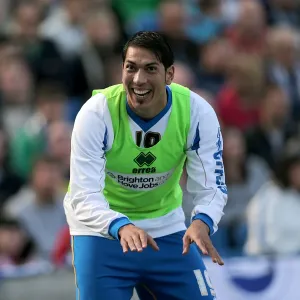 Brighton & Hove Albion vs. Blackpool: 2012-13 Home Game Brighton & Hove Albion vs. Blackpool: 2012-13 Home Game