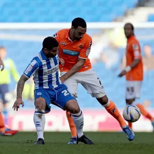 Brighton & Hove Albion vs. Blackpool: 2012-13 Home Game Brighton & Hove Albion vs. Blackpool: 2012-13 Home Game