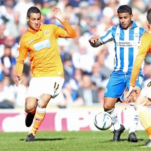 Brighton & Hove Albion vs. Blackpool: 2012-13 Home Game Brighton & Hove Albion vs. Blackpool: 2012-13 Home Game