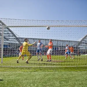 Brighton & Hove Albion vs. Blackpool: 2012-13 Home Game Brighton & Hove Albion vs. Blackpool: 2012-13 Home Game