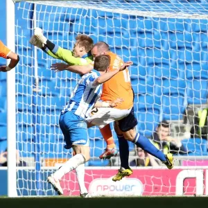 Brighton & Hove Albion vs. Blackpool: 2012-13 Home Game Highlights Brighton & Hove Albion vs. Blackpool: 2012-13 Home Game Highlights
