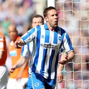 Brighton & Hove Albion vs. Blackpool: 2012-13 Season - Home Game Highlight Brighton & Hove Albion vs. Blackpool: 2012-13 Season - Home Game Highlight