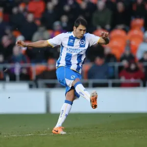 Brighton & Hove Albion vs. Blackpool: Away Game - December 29, 2013 Brighton & Hove Albion vs. Blackpool: Away Game - December 29, 2013