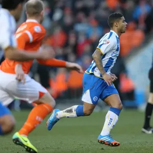 Brighton & Hove Albion vs. Blackpool: Away Game - December 29, 2013 (Season 2013-14) Brighton & Hove Albion vs. Blackpool: Away Game - December 29, 2013 (Season 2013-14)