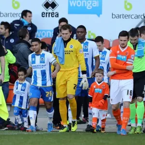 Brighton & Hove Albion vs. Blackpool: Away Game - December 29, 2013 Brighton & Hove Albion vs. Blackpool: Away Game - December 29, 2013