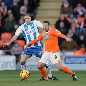 Brighton & Hove Albion vs. Blackpool: Away Game - December 29, 2013 (Season 2013-14) Brighton & Hove Albion vs. Blackpool: Away Game - December 29, 2013 (Season 2013-14)