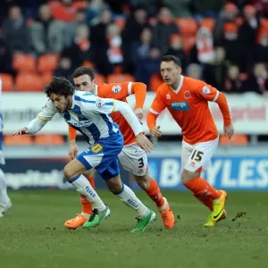 Brighton & Hove Albion vs. Blackpool: Away Game - December 29, 2013 Brighton & Hove Albion vs. Blackpool: Away Game - December 29, 2013
