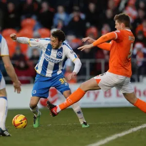 Brighton & Hove Albion vs. Blackpool: Away Game - December 29, 2013 (Season 2013-14) Brighton & Hove Albion vs. Blackpool: Away Game - December 29, 2013 (Season 2013-14)