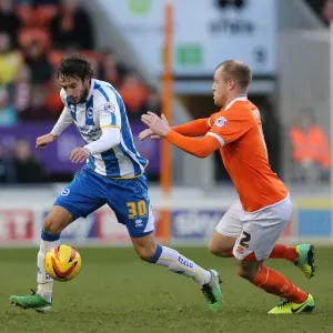 Brighton & Hove Albion vs. Blackpool: Away Game - December 29, 2013 Brighton & Hove Albion vs. Blackpool: Away Game - December 29, 2013