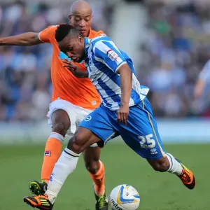 Brighton & Hove Albion vs. Blackpool: A Home Game Battle from the 2012-13 Season Brighton & Hove Albion vs. Blackpool: A Home Game Battle from the 2012-13 Season
