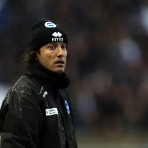 Brighton & Hove Albion vs. Bolton Wanderers: 2012-13 Home Game Brighton & Hove Albion vs. Bolton Wanderers: 2012-13 Home Game