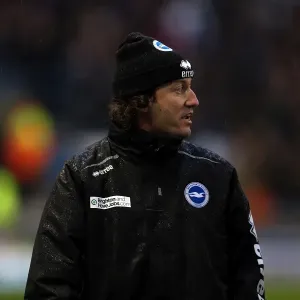 Brighton & Hove Albion vs. Bolton Wanderers (2012-13 Season: Home Game) Brighton & Hove Albion vs. Bolton Wanderers (2012-13 Season: Home Game)