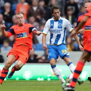 Brighton & Hove Albion vs. Bolton Wanderers (Spanish Day): 2013-14 Home Game Brighton & Hove Albion vs. Bolton Wanderers (Spanish Day): 2013-14 Home Game