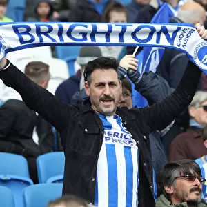Brighton and Hove Albion vs Bournemouth: Premier League Battle at American Express Community Stadium (13APR19)