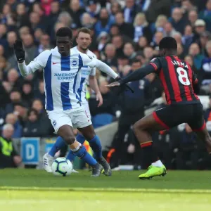 Brighton and Hove Albion vs Bournemouth: Premier League Showdown at American Express Community Stadium (13APR19) Brighton and Hove Albion vs Bournemouth: Premier League Showdown at American Express Community Stadium (13APR19)