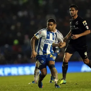 Brighton & Hove Albion vs. Bournemouth: Home Battle (January 1, 2014)