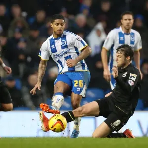 Brighton & Hove Albion vs. Bournemouth: Home Game - January 1, 2014