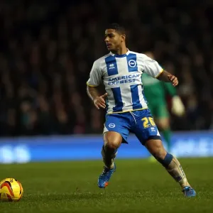Brighton & Hove Albion vs. Bournemouth: Home Game - January 1, 2014