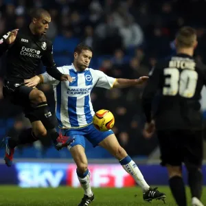 Brighton & Hove Albion vs. Bournemouth: Home Game - January 1, 2014 (Season 2013-14)