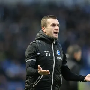 Brighton & Hove Albion vs. Bournemouth: Home Game - January 1, 2014 (Season 2013-14)