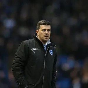 Brighton & Hove Albion vs. Bournemouth: Home Game (January 1, 2014)