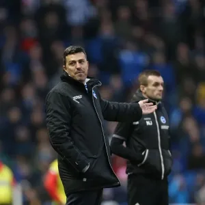Brighton & Hove Albion vs. Bournemouth: Home Game (January 1, 2014)