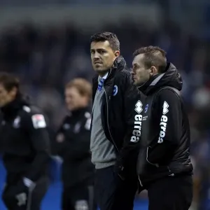 Brighton & Hove Albion vs. Bournemouth: Home Game (January 1, 2014)