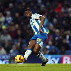 Brighton & Hove Albion vs. Bournemouth: Home Game - January 1, 2014 (Season 2013-14)