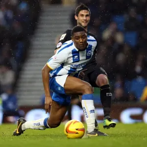 Brighton & Hove Albion vs Bournemouth: Home Game (January 1, 2014)