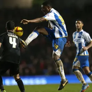 Brighton & Hove Albion vs. Bournemouth: Home Game - January 1, 2014