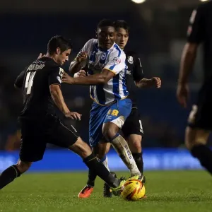 Brighton & Hove Albion vs. Bournemouth: Home Game - January 1, 2014