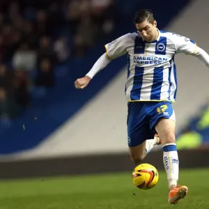 Brighton & Hove Albion vs. Bournemouth: Home Game (January 1, 2014)