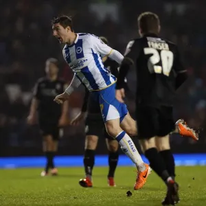 Brighton & Hove Albion vs. Bournemouth: Home Game - January 1, 2014 (Season 2013-14)