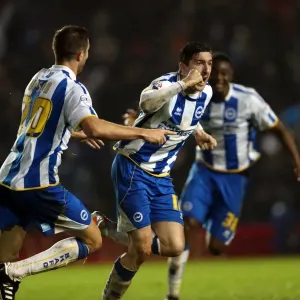 Brighton & Hove Albion vs. Bournemouth: Home Game (January 1, 2014)