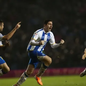 Brighton & Hove Albion vs. Bournemouth: Home Game - January 1, 2014 (Season 2013-14)