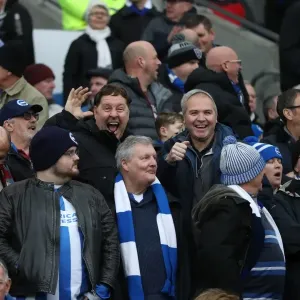 Brighton and Hove Albion vs Bournemouth: Premier League Clash at American Express Community Stadium (01.01.18) Brighton and Hove Albion vs Bournemouth: Premier League Clash at American Express Community Stadium (01.01.18)