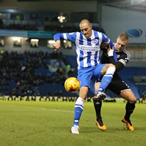 Brighton and Hove Albion vs. Brentford: A Battle in the Sky Bet Championship (05/02/2016)