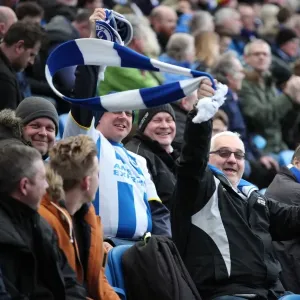 Brighton and Hove Albion vs. Brentford: Passionate Fan Showdown (17Jan15)