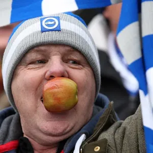 Brighton & Hove Albion vs. Bristol City (16-01-2012) - A Peek into the 2011-12 Home Season Brighton & Hove Albion vs. Bristol City (16-01-2012) - A Peek into the 2011-12 Home Season