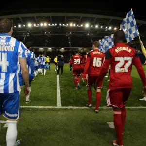Brighton & Hove Albion vs. Bristol City (2012-13): A Home Game - 27-11-2012 Brighton & Hove Albion vs. Bristol City (2012-13): A Home Game - 27-11-2012