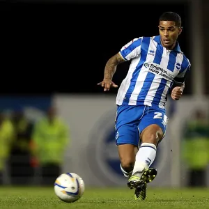 Brighton & Hove Albion vs. Bristol City: 2012-13 Home Game Brighton & Hove Albion vs. Bristol City: 2012-13 Home Game