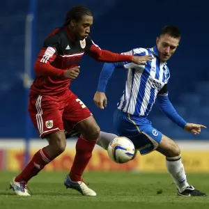 Brighton & Hove Albion vs. Bristol City: Home Battle (2012-13 Season - 27-11-2012) Brighton & Hove Albion vs. Bristol City: Home Battle (2012-13 Season - 27-11-2012)
