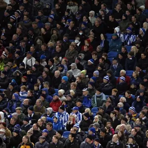 Brighton & Hove Albion vs. Bristol City: A Home Battle (27-11-2012) Brighton & Hove Albion vs. Bristol City: A Home Battle (27-11-2012)